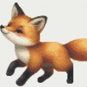 May include: A cute orange and white fox with a bushy tail is walking with its head tilted up. The fox has a white chest and a white tip on its tail.
