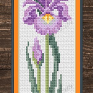 May include: Cross-stitch pattern of a purple iris flower with green leaves and stem. The flower has a yellow center. The design is framed in a black, orange, and white border. The words "PDF Download" are at the bottom.