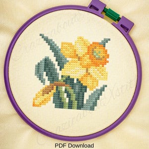 May include: Cross-stitch embroidery of a daffodil flower in a purple hoop. The daffodil is yellow and orange with green leaves and stem. The text "PDF Download" is at the bottom.