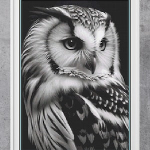 Black and White Owl. Large cross stitch, 200w x 280h stitches.PDF download pattern/chart.  DMC threads.  Needlepoint.  PDF Pattern Keeper