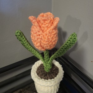 May include: A crocheted orange tulip flower in a white crocheted pot with green crocheted leaves.