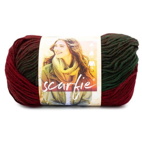 Lion Brand Scarfie Yarn - 5 Bulky(Red/Dark Green)