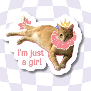 I&#39;m just a girl cat sticker, laptop sticker, gift for cat lover, sarcastic sticker, balllerina sticker, cat mom sticker, cat lover, girly