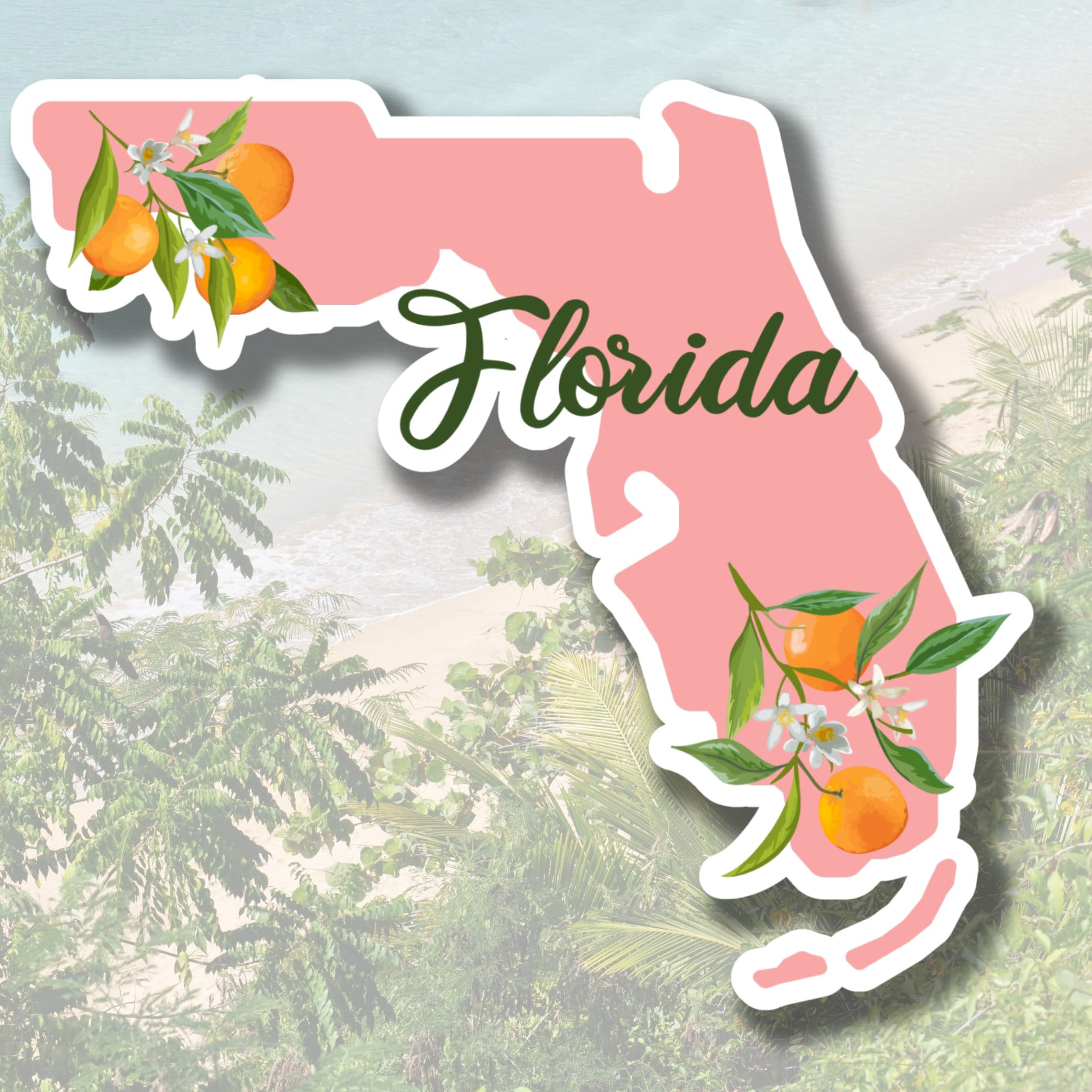 Florida Sticker, Retro Florida Sticker, Florida Oranges, Travel 