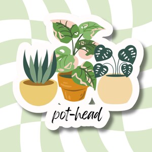 May include: A sticker featuring three potted plants: a succulent, a pink-veined plant, and a heart-leaf plant. The plants are in yellow and orange pots. The text "pot-head" is written in a cursive font below the plants. The background is a light green and white checkered pattern.