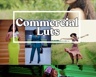 50 LUT comerciales cinematográficos Esto convierte sus videos de aspecto aburrido en un estándar cinematográfico profesional de Hollywood