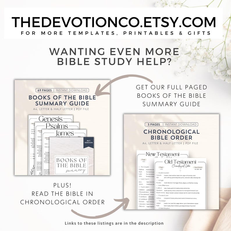Bible Summary Guide