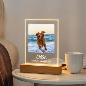 Personalized Pet Memorial LED Night Light,Light Up Pet Loss Frame,Pet Photo Light,Dog Loss Gift,Pet Memorial Gift, Dog Sympathy Gift