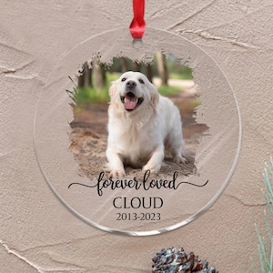 Aangepaste hond foto ornament, hond Memorial gift, verlies van huisdier, huisdier ornament, kerst aandenken, hond Memorial ornament, hond kerstornament
