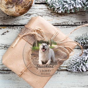 May include: A clear glass ornament with a photo of a white dog inside. The ornament has the text "forever loved CLOUD 2013-2023" printed on it.