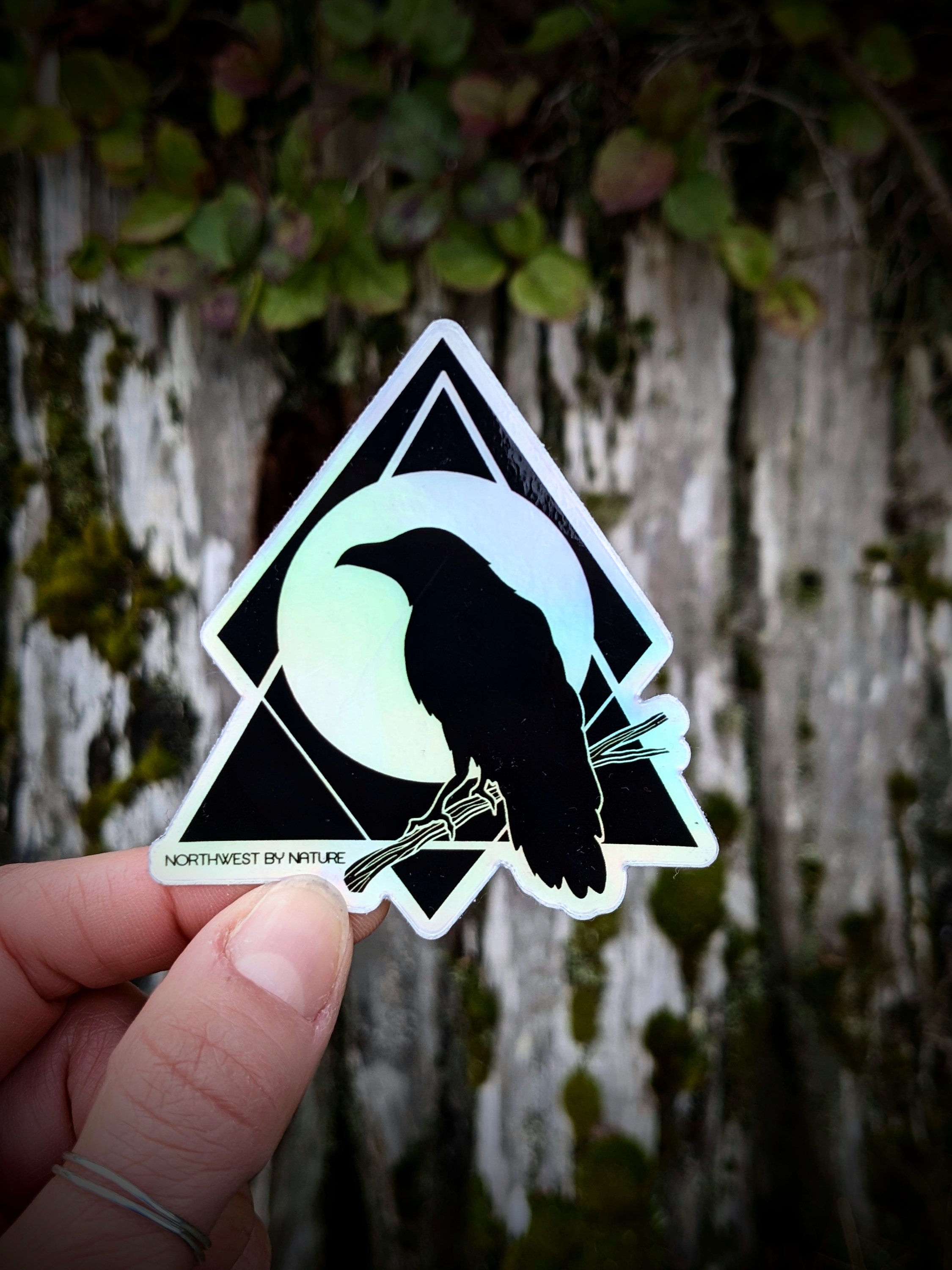 Raven Holographic Sticker - Crow - Bird - West Coast - BC Animal - Fly free and wild