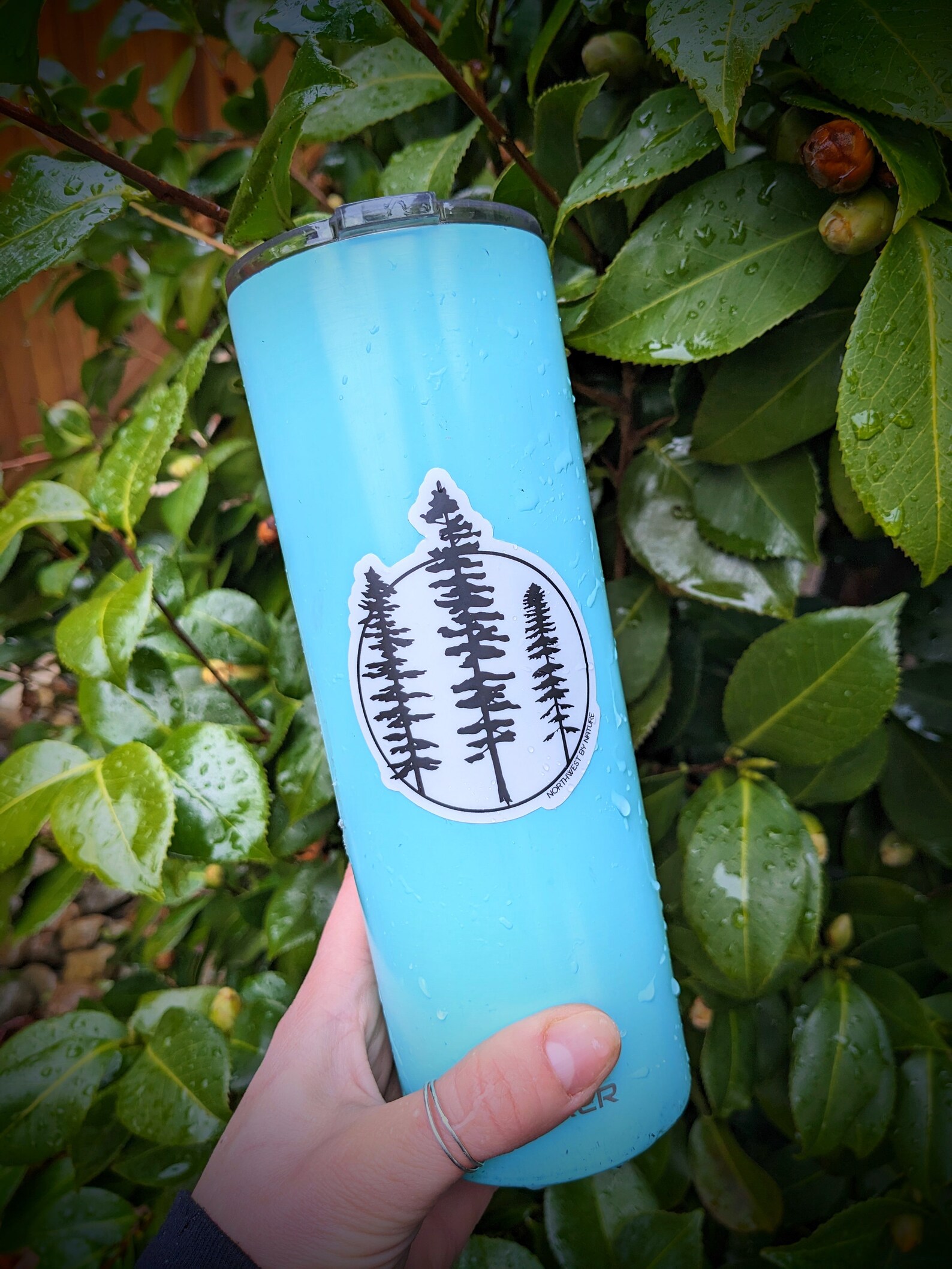 Pnw Pacific Rim Pacific Rim Sticker - Trees Moon Rock by the Ocean - West Coast ...