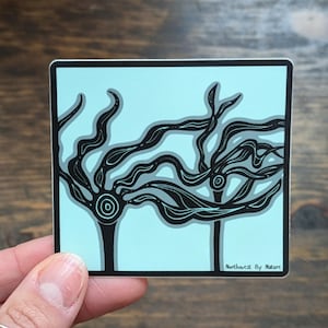 Kelp Sticker - West Coast - Pacific Giant Bull Kelp