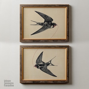 May include: Two framed prints showcasing detailed illustrations of swallows in flight. The birds are in black and white with red accents, set against a beige background. The frames are a warm brown with gold inner trim.