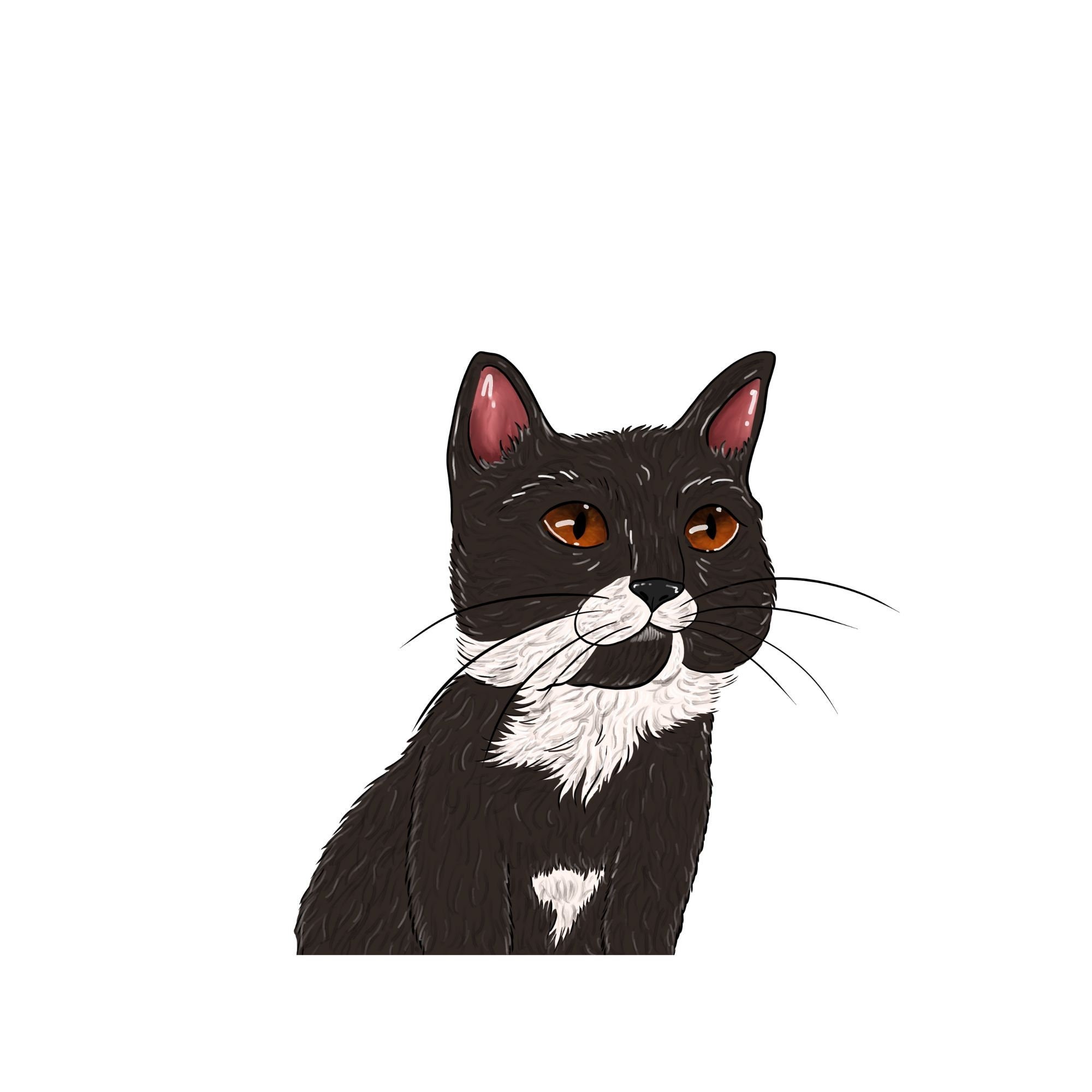 Black Tuxedo Cat PNG Clipart Cat Clipart Kitten Clipart Etsy