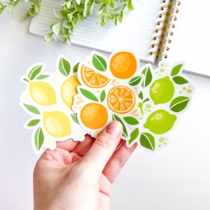 CLEAR Fruity Fun Sticker | Cute Summer Fruit Sticker | Lemons, Limes, Oranges | Waterproof Clear Vinyl Sticker