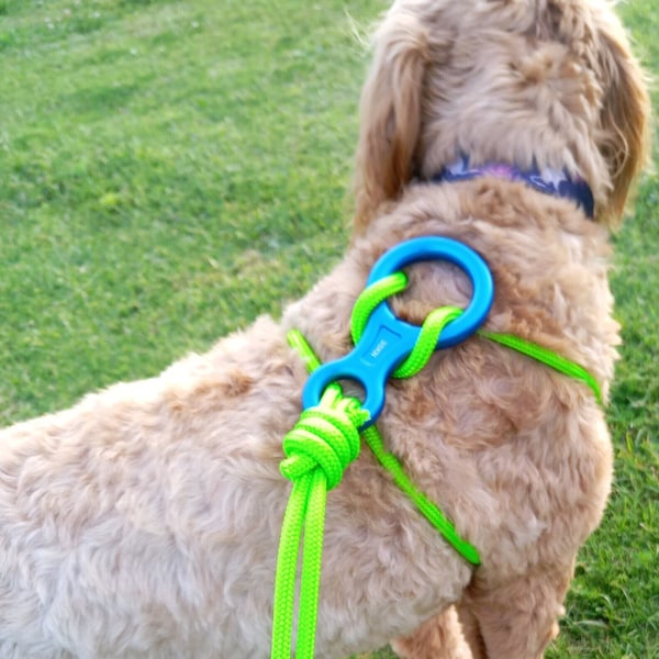 No more clogged or rusty buckles, extra strong easy to use harness and lead in one, No pull dog harness, rope dog lead, large dog, climbing