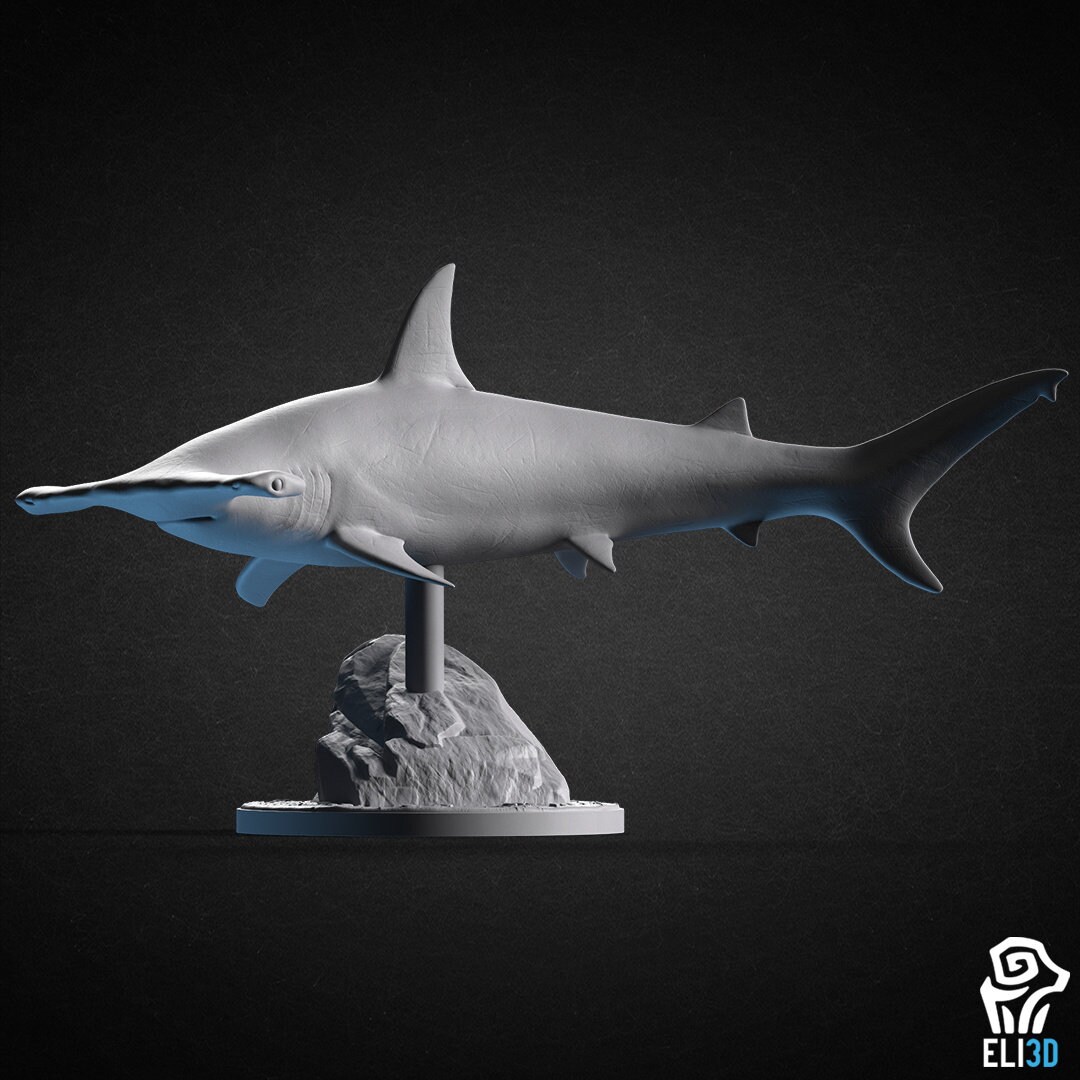 Hammerhead Shark Miniature Dnd Shark Mini Monster Creature - Etsy