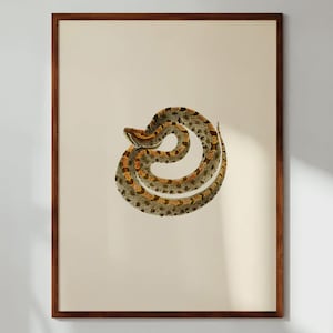 May include: A vintage illustration of a brown and yellow snake curled up in a circle. The snake is depicted in a realistic style with detailed scales and markings.