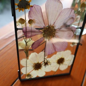 Pressed Flower Art with Real Flowers, 5&quot;x7&quot;
