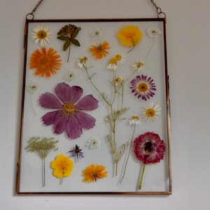 Pressed flower art in glass frame, vintage antique brass frame, 8x10