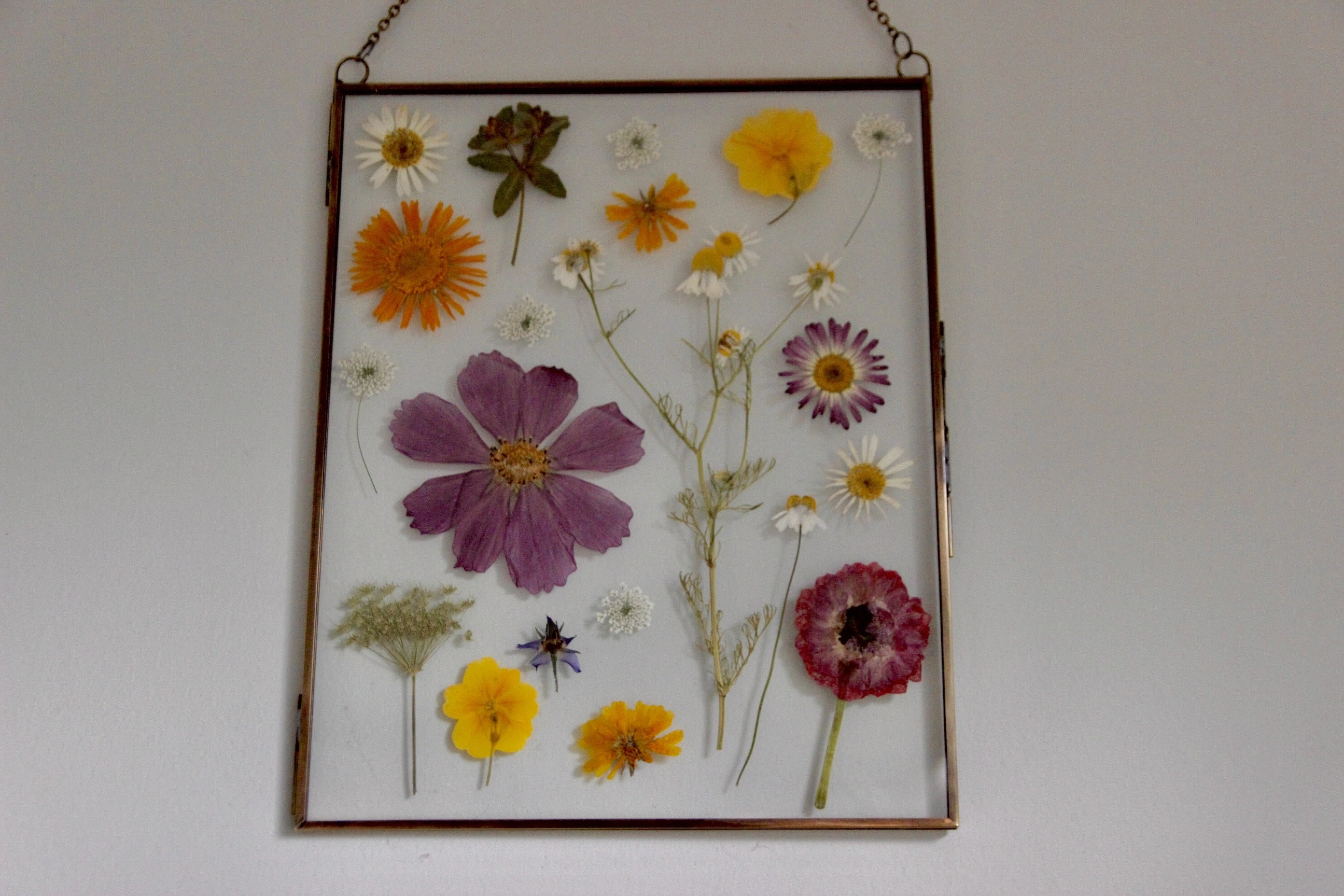 ヨーロッパ　アンティーク　押し花 ヨーロッパ アンティーク 押し花 【公式通販】