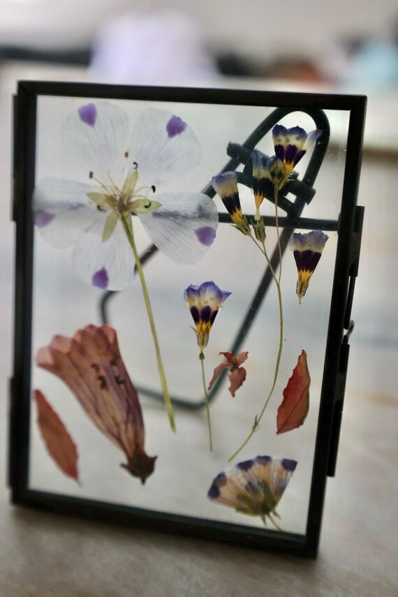 カリフォルニア原産の花を使った押し花アート、3インチ×4インチ - Etsy 