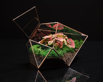 Geometric glass solder sealed florarium / terrarium with a glass door. Without plants. Handmade home decor.