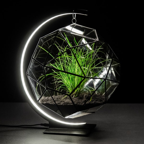 Terrarium Stand Etsy