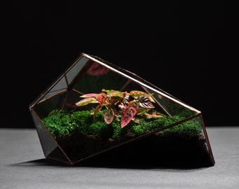 Geometric glass solder sealed florarium / terrarium with a glass door. Without plants. Handmade home decor.