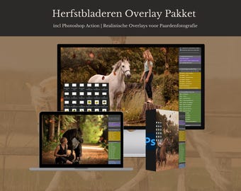 Autumn Leaves Overlay Pack + Photoshop Action | Realistic Overlays for Horse Photography