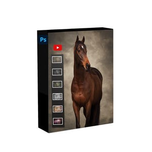 Photoshop Tutorial Horse Photography Fine art Edit, Dutch spoken