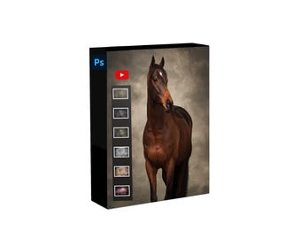 Photoshop Tutorial Horse Photography Fine art Edit, Dutch spoken