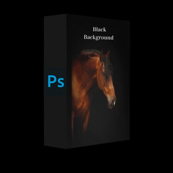 Black Background Photoshop Actions | Paardenfotografie Workflow | Horse Portrait Editing Pack | Dutch Guide Included