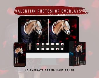 Valentine's Day Photoshop Overlays | 47 PNG Hearts & Rose Petals | Romantic Photo Overlays | Horse Photography | PS Overlay Pack