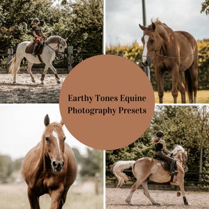 Earthy Tones Equine Photography Lightroom Presets | Horse photography | Horse photographer | Lightroom presets
