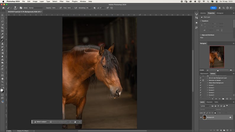 May include: A brown horse with a black mane and tail stands in a dark stable. The horse is looking to the left of the frame.