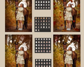 Autumn Overlay Essentials for Horse Photography | Professional Overlay Package | Photoshop