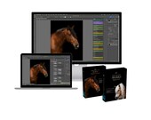 Black Background Photoshop Actions & Brushes | Paardenfotografie Edit Workflow | Black Portrait Editing Toolkit | Photoshop Action Pack