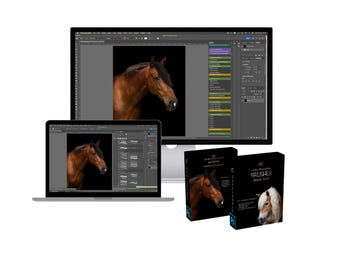 Black Background Photoshop Actions & Brushes | Horse Photography Edit Workflow | Black Portrait Editing Toolkit | Photoshop Action Pack