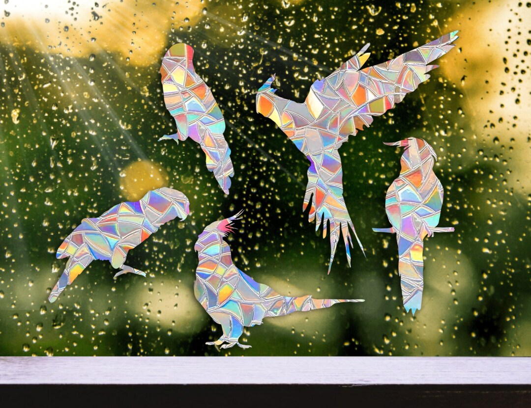Parrots Birds Windows Decals Cockatiel Suncatcher Clings Set 5 Pcs ...