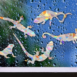 Lizards Windows Sun Catcher Clings Rainbow Maker Stickers Set of 5 pcs / Reusable Reptile Decals No Adhesive design