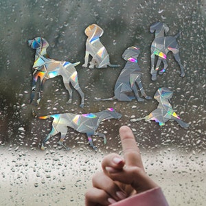 Hungarian Vizsla window dogs suncatcher clings set 6 pcs / Removable reusable pet decals / no adhesive stickers