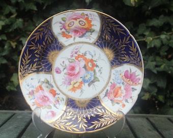 Antique Georgian Coalport C. 1815 Handpainted Flower Display Plate Painted Gilded Cabinet Art Botanical