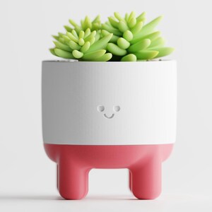 May include: A white and red planter with a smiling face design, holding a green succulent plant. The planter has a cylindrical shape with three legs. The succulent is a bright green color.
