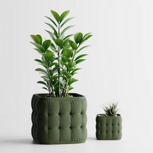 Könnte beinhalten: Zwei quadratische olivgrüne Pflanzgefäße mit einer gesteppten Knopf-Textur. Das größere Gefäß enthält eine hohe, blättrige Zamioculcas-Pflanze, während das kleinere Gefäß eine kleine, stachelige Sukkulente mit spitz zulaufenden Blättern enthält.