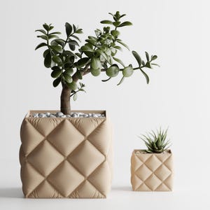 May include: Two beige square planters with a quilted pattern. The larger one contains a jade plant with green leaves and a brown trunk. The smaller planter holds a succulent. Both are filled with small white stones.