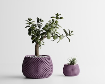 Round Stuctured Planter - Modern Indoor Plant Pot for Houseplants, Succulents & Herbs, Minimalist Flower Pot, Decorative Home Decor