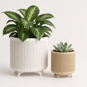 May include: A large white ribbed planter with a green leafy plant and a smaller beige ribbed planter with a succulent. Both cylindrical planters feature vertical grooves and are supported by four small, short, curved feet at the base.