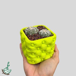 Knappkaktuskruka med tuftad form: 3D-printad kruka i Chesterfield-stil med dräneringshål